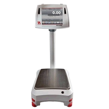 Digital platform scale with column-mounted display for accurate industrial weighing.